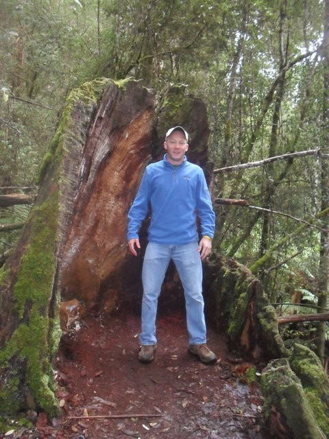 Mt Field National Park And Russell Falls From Hobart - Travel Agents 6