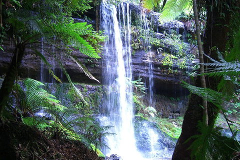 Mt Field National Park And Russell Falls From Hobart - Travel Agents 1