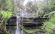 Mt Field National Park And Russell Falls From Hobart - thumb 4