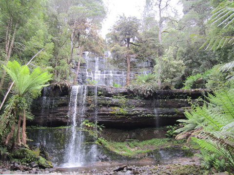 Mt Field National Park And Russell Falls From Hobart - Travel Agents 4