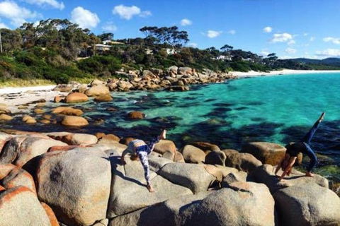 4-Day Tasmania East Coast Adventure From Launceston To Hobart Including Bay Of Fires, Wineglass Bay, Bruny Island And Port Arthu - Tourism Guide 0