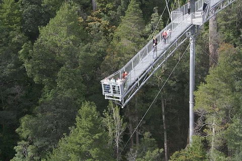 Cruise Ship Special From Hobart: Mt Wellington And Tahune AirWalk - Tourism Guide 0