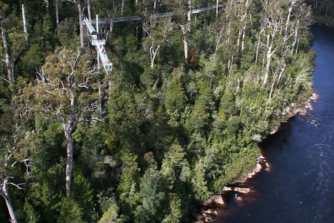 Cruise Ship Special From Hobart: Mt Wellington And Tahune AirWalk - Tourism Guide 1