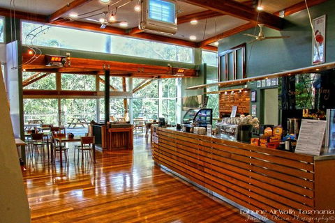 Cruise Ship Special From Hobart: Mt Wellington And Tahune AirWalk - Tourism Guide 5