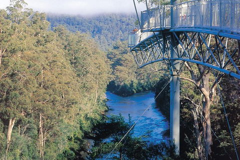 Small-groupTour From Hobart: Mt. Wellington, Huon Valley And Tahune AirWalk - Tourism Guide 0