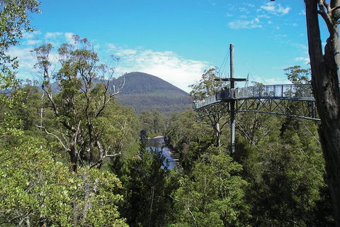 Small-groupTour From Hobart: Mt. Wellington, Huon Valley And Tahune AirWalk - Tourism Guide 7