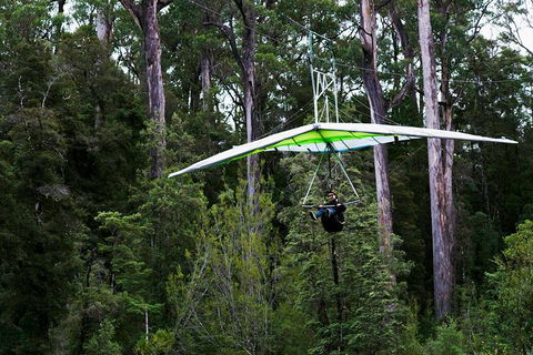 Small-groupTour From Hobart: Mt. Wellington, Huon Valley And Tahune AirWalk - Tourism Guide 4