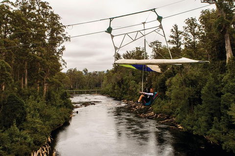 Small-groupTour From Hobart: Mt. Wellington, Huon Valley And Tahune AirWalk - Tourism Guide 3