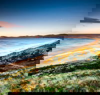 Full-Day Guided Bruny Island Tour from Hobart - Tourism Guide