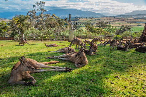 2 Day - Two Of Tasmania's Best Tour - Travel Agents 1