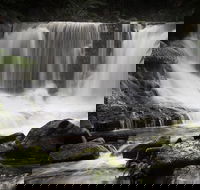 Mt Field National Park premium private photo-oriented day tour from Hobart - Tourism Guide