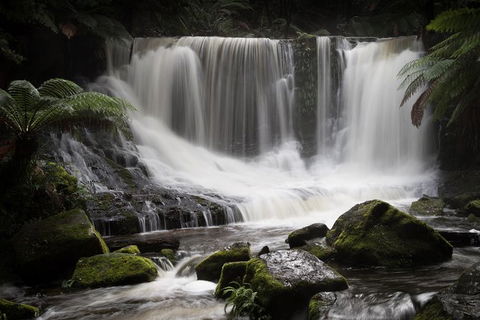 Mt Field National Park Premium Private Photo-oriented Day Tour From Hobart - Tourism Guide 0