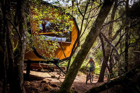 Blue Derby Pods Ride Experience 3-Day Mountain Bike Adventure In Exclusive Pods - Tourism Guide 0