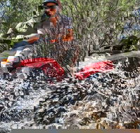 Quad Bike 2-Hour Adventure Freycinet National Park - Cruises Travel
