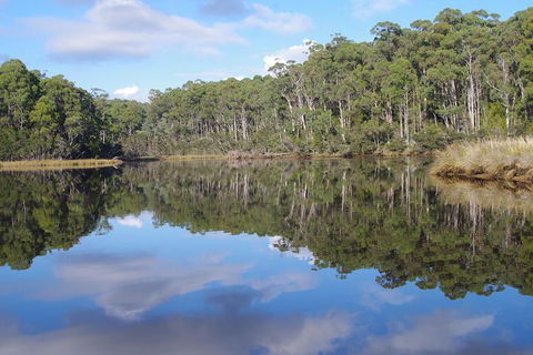 Leven River Picnic Cruise From Ulverstone - Tourism Guide 1