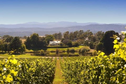 Josef Chromy Wines Winery Tour Including Tasting And Lunch - Tourism Guide 0