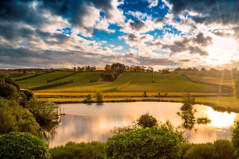 Josef Chromy Wines Winery Tour Including Tasting And Lunch - Tourism Guide 2