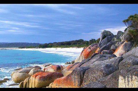 Bay Of Fires Day Trip From Launceston - Tourism Guide 0