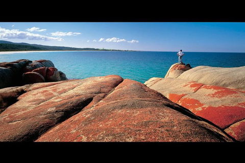 Bay Of Fires Day Trip From Launceston - Tourism Guide 1