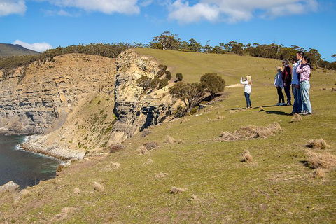 Wineglass Bay And Maria Island Wildlife Scenic Flight From Hobart - Tourism Guide 5