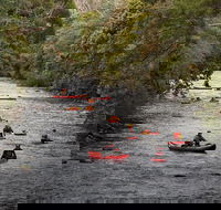 Meander Wilderness Experiences - Tourism Guide