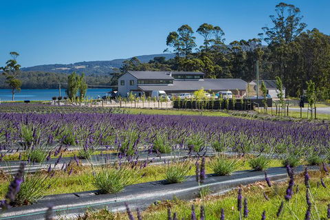 Private Tasman Peninsula Cruise Ship Tour From Port Arthur - Tourism Guide 0