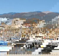 Private Mt Wellington Richmond Bonorong Wildlife Sanctuary Tour from Hobart - Tourism Guide