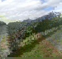 Coal River Valley  Hobart food  wine grazing tour - Tourism Guide