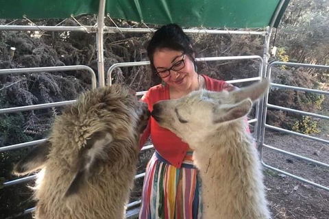 Farm Visit - Tourism Guide 1