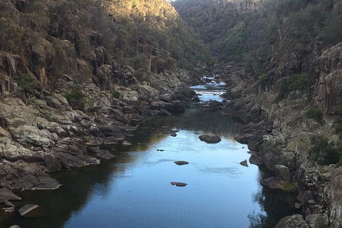 Launceston Cataract Gorge - Twilight, Wildlife, Local History Walking Tour. - Tourism Guide 2