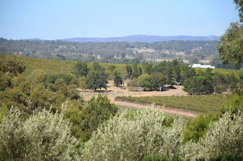 Barossa Valley Food And Wine Tour - Tourism Guide 2