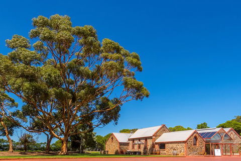 McLaren Vale And Glenelg Wine Tasting And Sightseeing (Half-day Afternoon) - Tourism Guide 0
