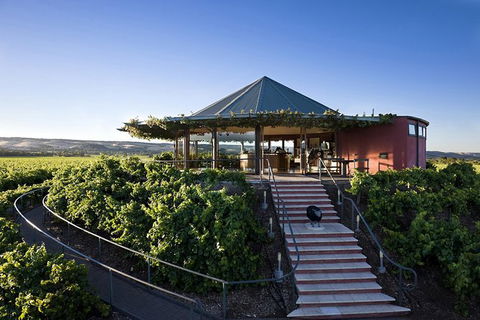 McLaren Vale Hop-On Hop-Off Winery Tour From Adelaide - Tourism Guide 6