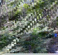 Self-Guided Waterfall Gully to Mount Lofty Hike from Adelaide - Tourism Guide