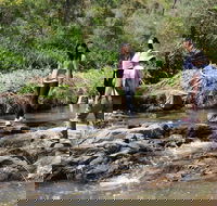 Small Group Bush Walk  BBQ with Wine Day Trip from Adelaide - Tourism Guide