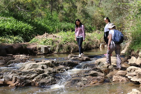 Small Group Bush Walk & BBQ With Wine Day Trip From Adelaide - Travel Search 0