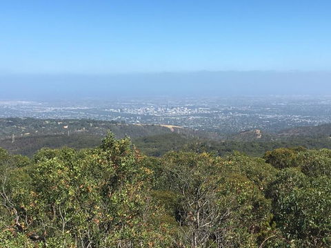 Adelaide Hills And Hahndorf Tour From Adelaide With Wine And Cheese Tasting - Tourism Guide 8
