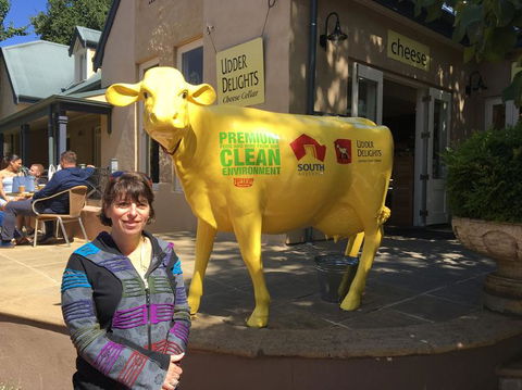 Adelaide Hills And Hahndorf Tour From Adelaide With Wine And Cheese Tasting - Tourism Guide 2