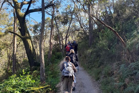 Mount Lofty Hike And Cleland Wildlife Park Day Trip From Adelaide - Tourism Guide 0