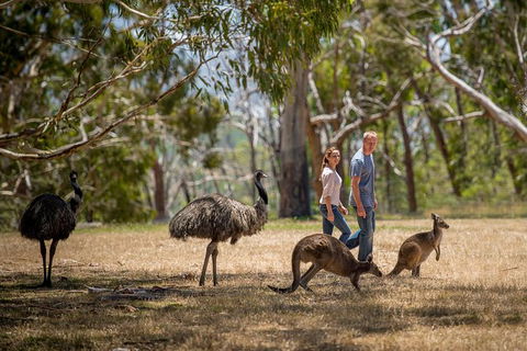 Mount Lofty Hike And Cleland Wildlife Park Day Trip From Adelaide - Tourism Guide 3