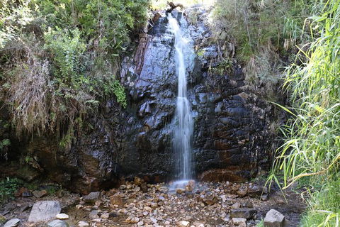 Mount Lofty Hike And Cleland Wildlife Park Day Trip From Adelaide - Tourism Guide 7