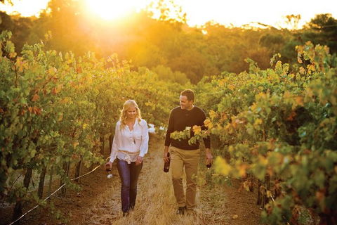 Barossa Valley Highlights From Adelaide Including Wine And Cheese Tasting - Tourism Guide 11