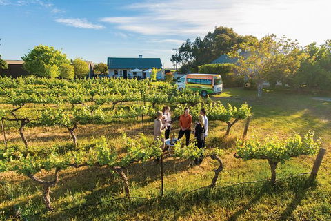 Barossa Valley Highlights From Adelaide Including Wine And Cheese Tasting - Tourism Guide 14