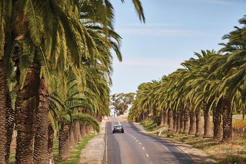 Barossa Valley Highlights From Adelaide Including Wine And Cheese Tasting - Tourism Guide 3