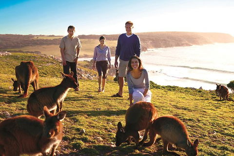 5-Day Adelaide And Kangaroo Island Tour Including Barossa Valley Wine Tasting - Tourism Guide 0