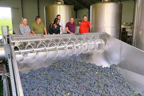 Micro-Group Barossa Valley Wine Tour From Adelaide - Tourism Guide 4