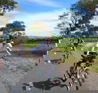 McLaren Vale Wine Tour by Bike - Tourism Guide