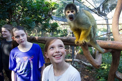 Adelaide Zoo Behind The Scenes Experience: Squirrel Monkey Feeding - Tourism Guide 1