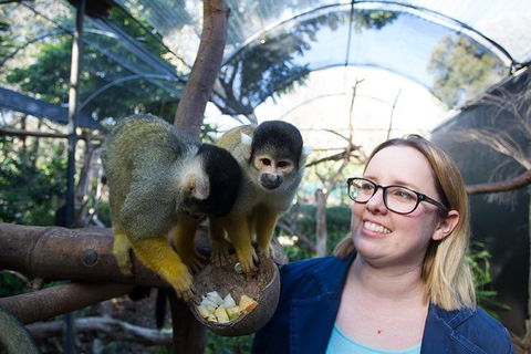 Adelaide Zoo Behind The Scenes Experience: Squirrel Monkey Feeding - Tourism Guide 0