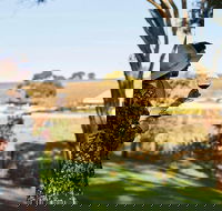 Micro-Group McLaren Vale Wine Tour from Adelaide - Tourism Guide